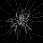 photoholgic--B_pcqa1wCQ-unsplash